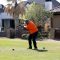 Spring Swing