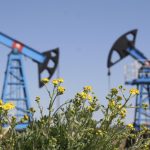 Small in the Permian